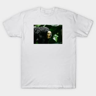 Ape / Swiss Artwork Photography T-Shirt